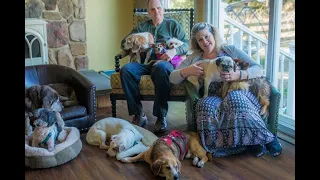 How To Create A Sanctuary For Senior Dogs with Michele Alle‪n (Full-Length Episode)