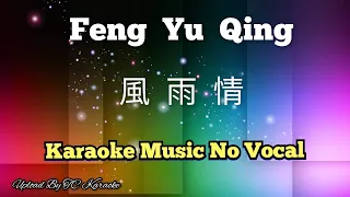 Feng Yu Qing 風雨情 / 风雨情 karaoke no vocal