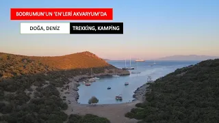 Bodrum Akvaryum Koyu yürüyüşü