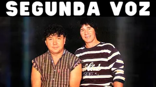 AMANDO ESCONDIDO - TEODORO E SAMPAIO (SEGUNDA VOZ) 1995