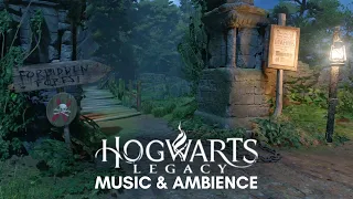 The Forbidden Forest | Hogwarts Legacy Music & Ambience