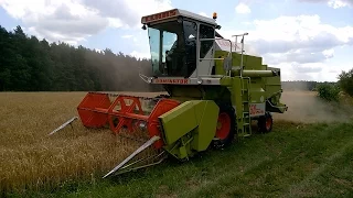 Żniwa 2015 I Claas dominator 58 spezial