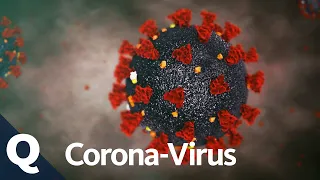 Coronavirus: Das wissen wir über Covid-19 | Quarks Extra