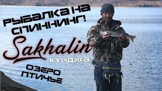 Рыбалка на Сахалине. Спиннинг с берега. Озеро Птичье. Кунджа май 2019