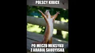 memy po meczu Polska Argentyna