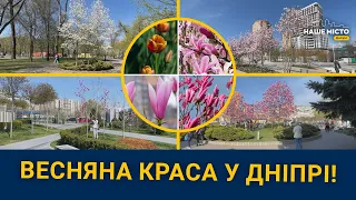 Топ-4 локації для чудових фотосесій у Дніпрі