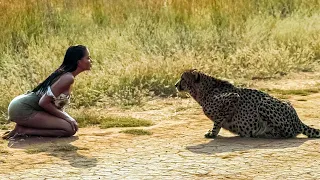 Frau beschloss, dem kranken Geparden zu helfen - was danach geschah, wird Dich schockieren!