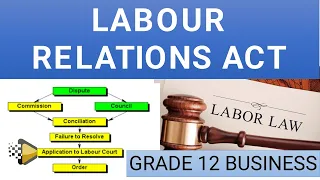 LABOUR RELATIONS ACT GRADE 12 [GRADE 12 BUSINESS] THUNDEREDUC, MR.MOHAPI