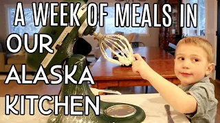 Cook With Us | A Week in Our Alaska Kitchen | Moose, Bear, and Salmon