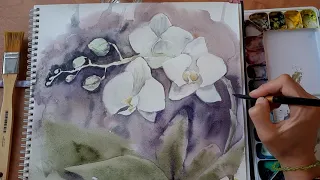 Рисую цветы белые орхидеи акварелью. How to draw white orchid flowers in watercolor.