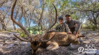 Texas Hill Country Axis Hunt