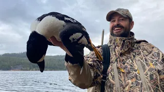 Hunting Black-tailed Deer and Sea Ducks in Alaska