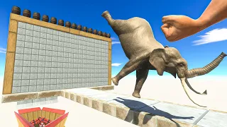 Epic Punch on Wall and TNT - Animal Revolt Battle Simulator