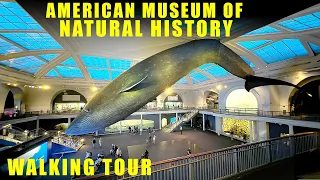 American Museum of Natural History  walking tour - New York City - Full Walkthrough
