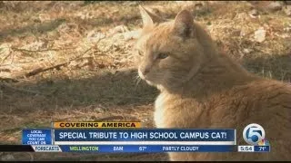 School pays tribute to cat