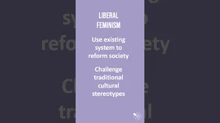 Liberal Feminism | 60 Second Sociology (Sociological Theory and Debates)