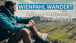 Wandern auf dem steilsten Weinberg Europas: Calmont-Klettersteig bis Gipfelkreuz | Wienpahl wandert