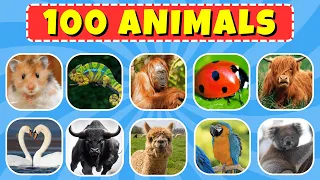 Guess 100 ANIMALS in 5 Seconds 🦁🐼🐵 | Quiz Game Challenge 2024 🦊🐶🐇🐱