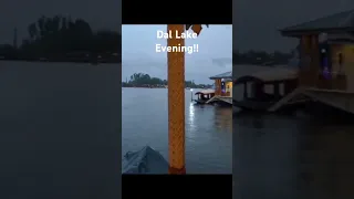 #dallake  #Kashmir #Houseboat #Shorts #Evening #Srinagar #Kahva  #lake #travel