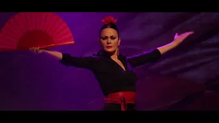 SHOW  FLAMENCO ESPAÑOL CUARTR8CHOS