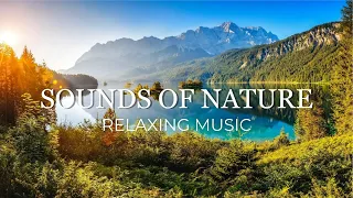 Good Relaxing Music - Stop Thinking Too Much, Music to Reduce Stress and Fatigue