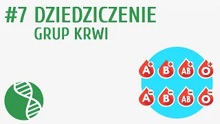 Dziedziczenie grup krwi #7 [ Genetyka ]