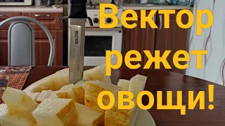 Кизляр Суприм. 🗡️ Вектор. Проверяю остроту на овощах и фруктах 🍅🥒🍉