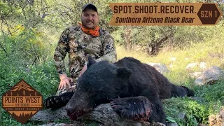 GIANT ARIZONA BLACK BEAR | Public Land Hunt