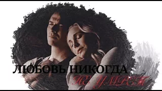 Damon & Caroline || Любовь никогда не умрет