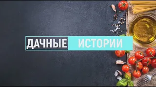 Спектакль Маша и медведь