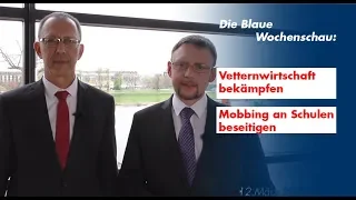 Vetternwirtschaft wirksam bekämpfen und Mobbing an Schulen zurückdrängen - Blaue Wochenschau der AfD