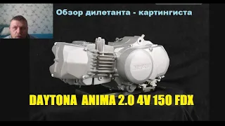 Daytona Anima 2.0 4V 150 FDX. Обзор дилетанта-картингиста.