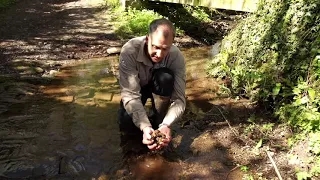 Agricultural Pollution - The Destruction of Our Rivers