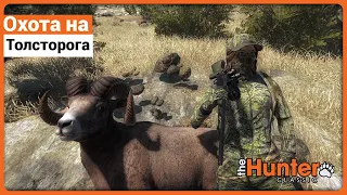 Охота на Толсторога в theHunter Classic !