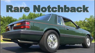 Coyote Swapped 1985 Sage Green Notchback Mustang