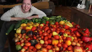 HUGE Backyard Garden Harvest PRESERVED for Winter Eating | #everybitcountschallenge