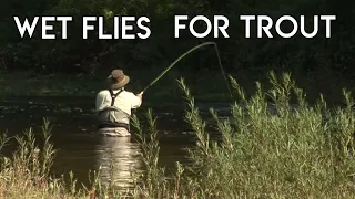 Wet Fly Basics for Trout