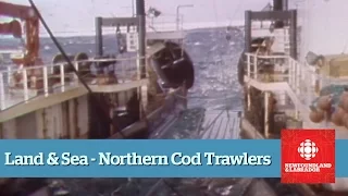 Land & Sea - Northern Cod - Full Episode