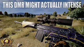 This DMR Might Actually Be INTENSE in PUBG - POKAMOLODOY