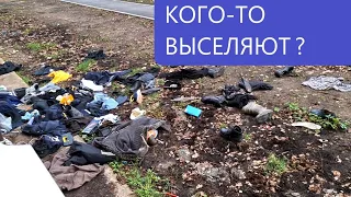 веселуха в кобрино