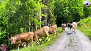 152 NATUR IN IHRER VOLLEN PRACHT