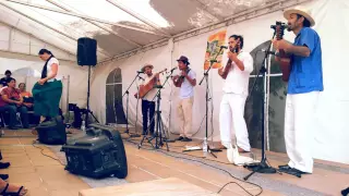 LOS VEGA: Vientos del mar. Jardín Botánico UNAM 2016