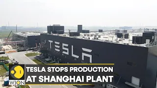 China: Tesla halts production at Shanghai plant; year-end closure comes as Covid cases rise | WION