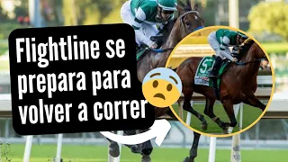 FLIGHTLINE SE PREPARA PARA VOLVER A CORRER