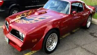 1977-1978 Trans Am Tribute to Roger Taylor