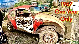 Buying a Rare Classic 1967 One year only VW Beetle Abandon Project.Will we get it on the road again?