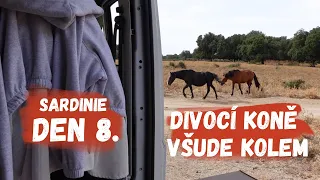 Divocí koně a absolutní ráj | Obytnou dodávkou na Sardinii, den 8.