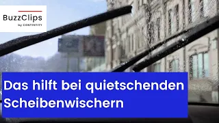 Quietschende Scheibenwischer: Das können Sie tun!