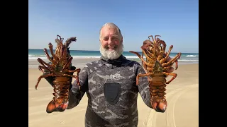 Diving for Lobsters NSW season start 2021