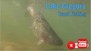 Lake Gregory Trout Fishing (limits)